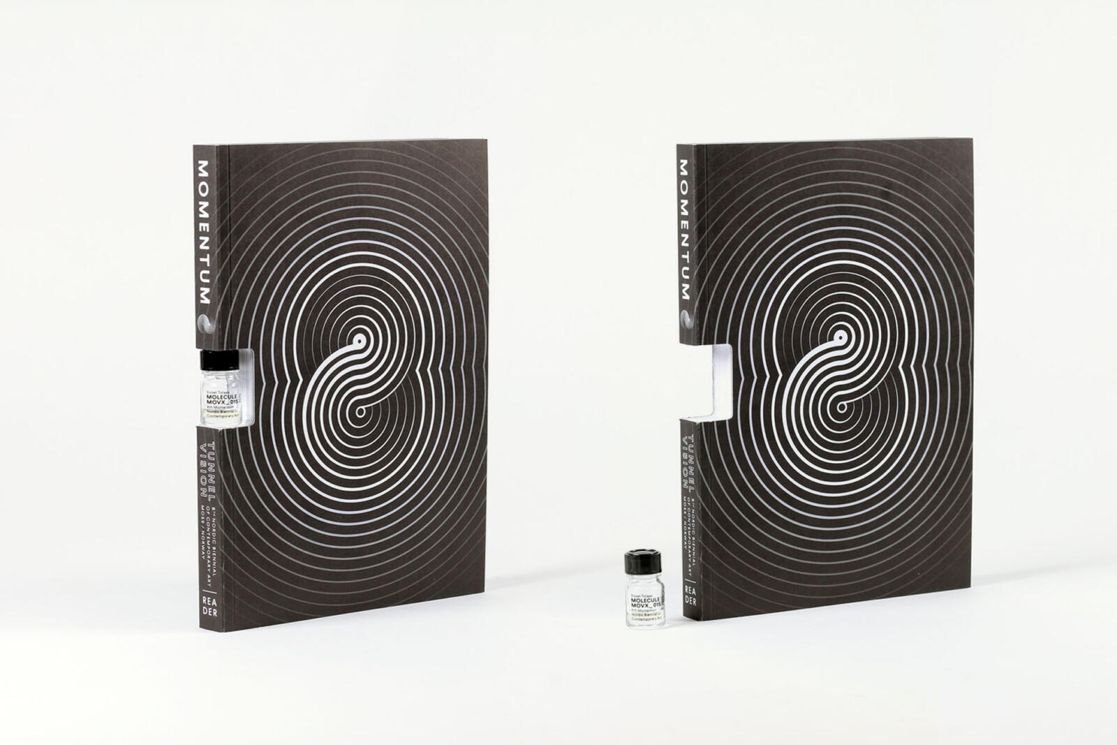 Momentum 8 Biennial / Tunnel Vision – Alliance Graphique