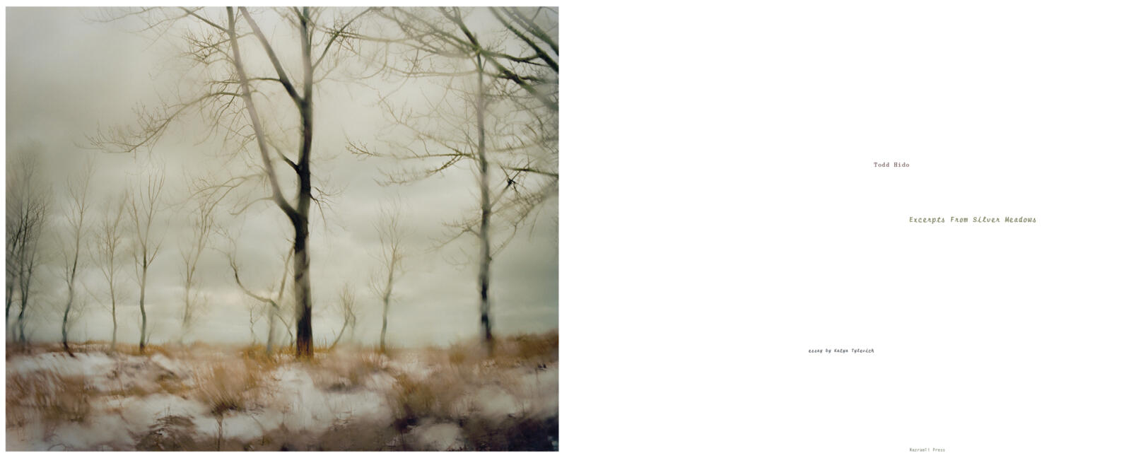 Todd Hido From Silver Meadows 写真集 サイン本 Todd Hido From Silver Meadows 写真集 サイン本 - メルカリ