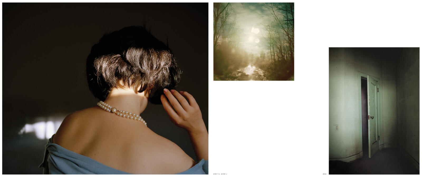 Todd Hido From Silver Meadows 写真集 サイン本 Todd Hido: Excerpts from Silver Meadows *signedトッド