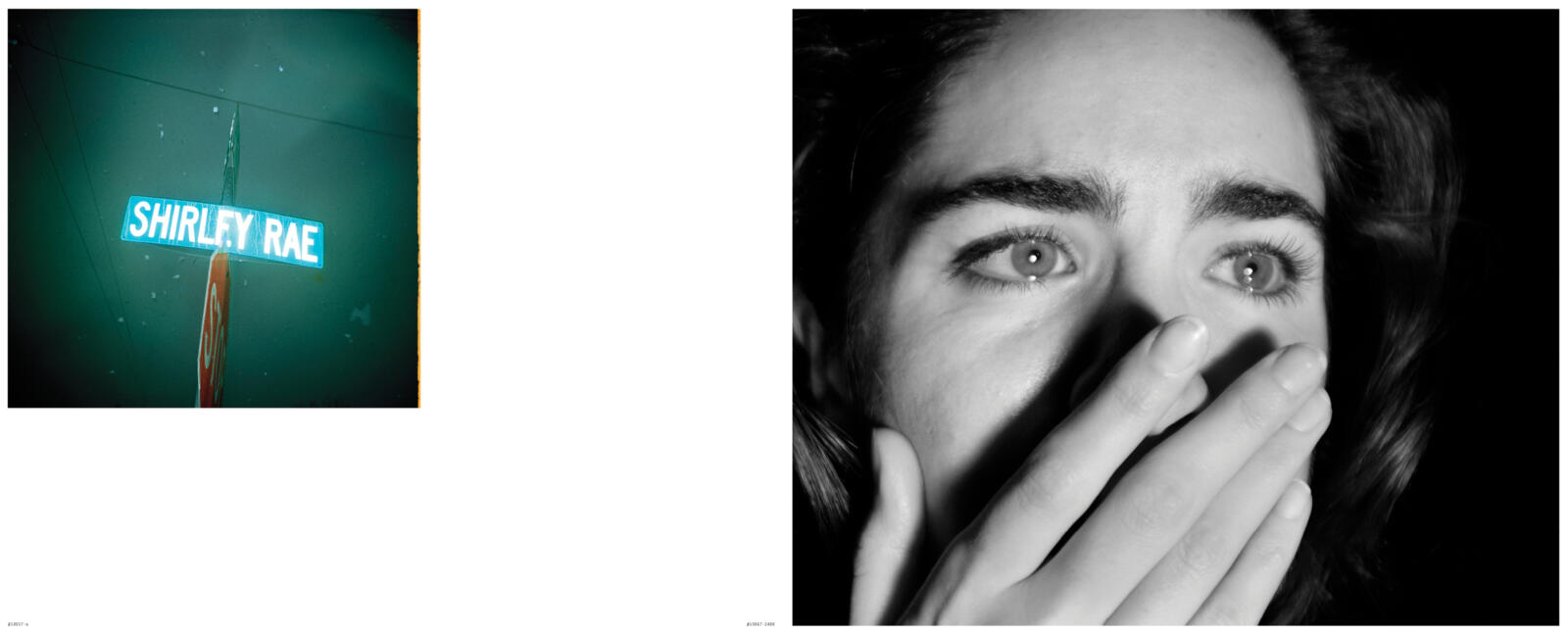 Todd Hido From Silver Meadows 写真集 サイン本 サイン入 / Signed】Excerpts From Silver Meadows / Todd Hido
