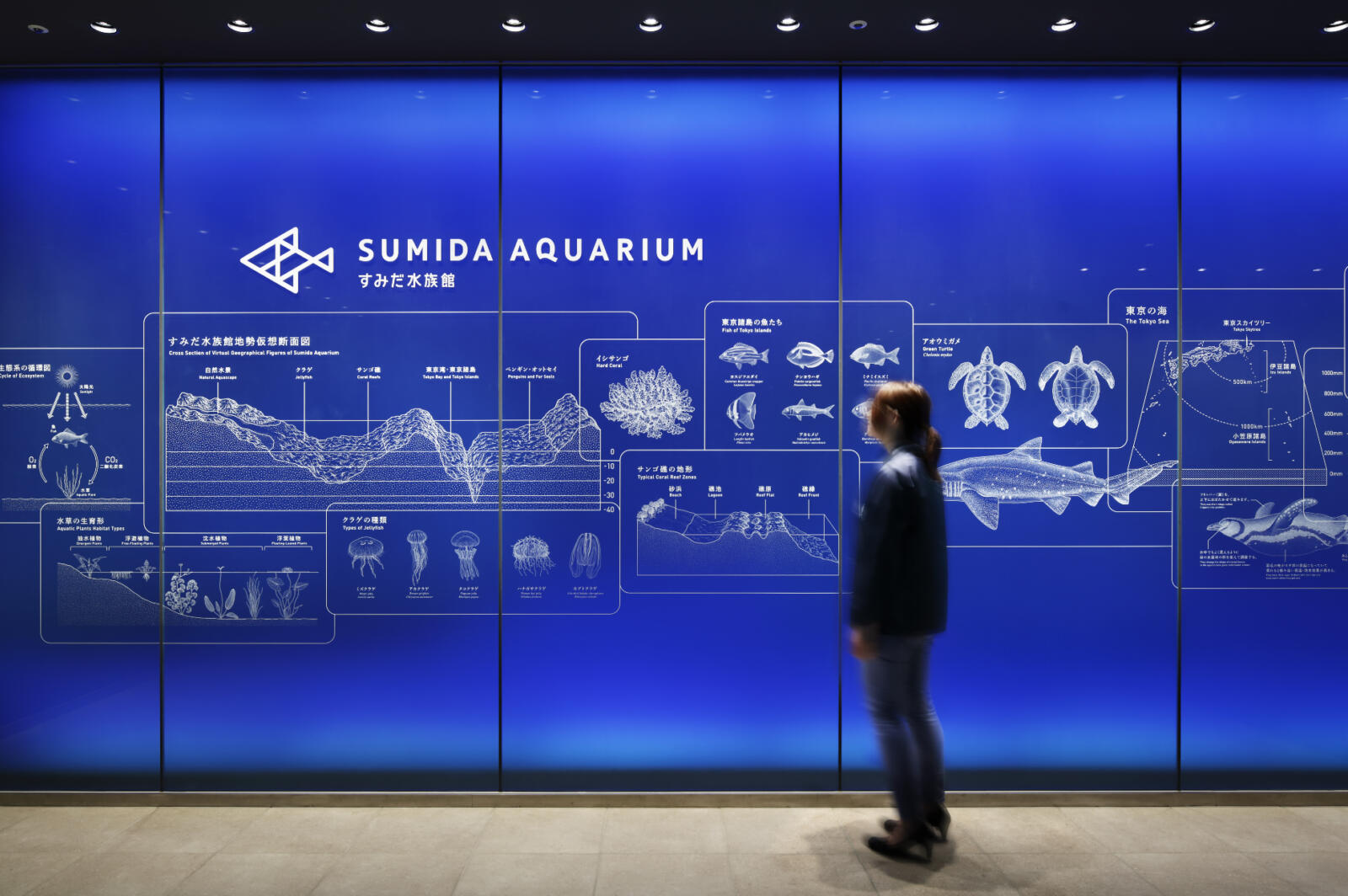 Sumida Aquarium – Alliance Graphique Internationale (AGI) – 512 