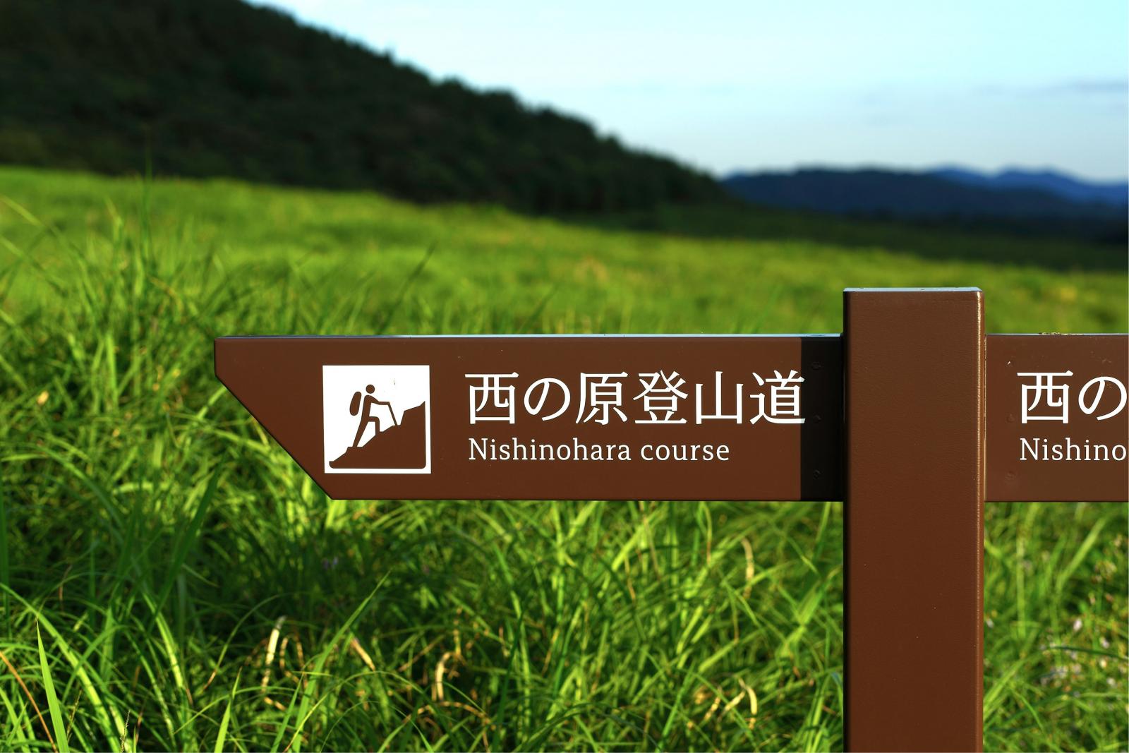 National Parks of Japan: Sutherland, Mary, Britton, Dorothy